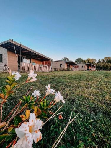 Auvergne Chalets Sancy — hotel in Bagnols-Sur-Ceze