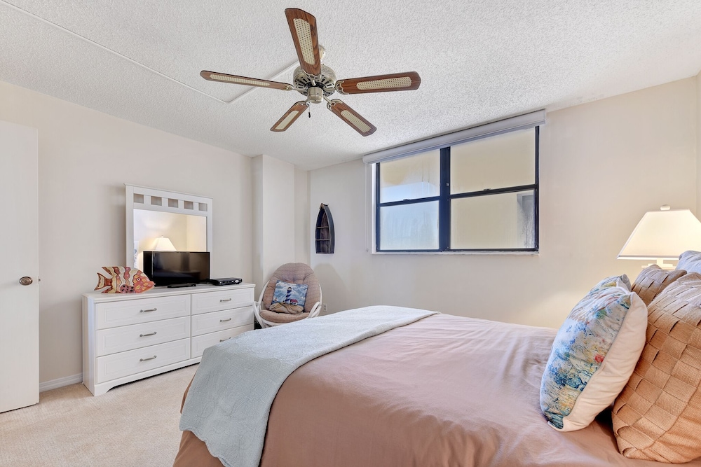 Sand Dollar I 504 - photo 3