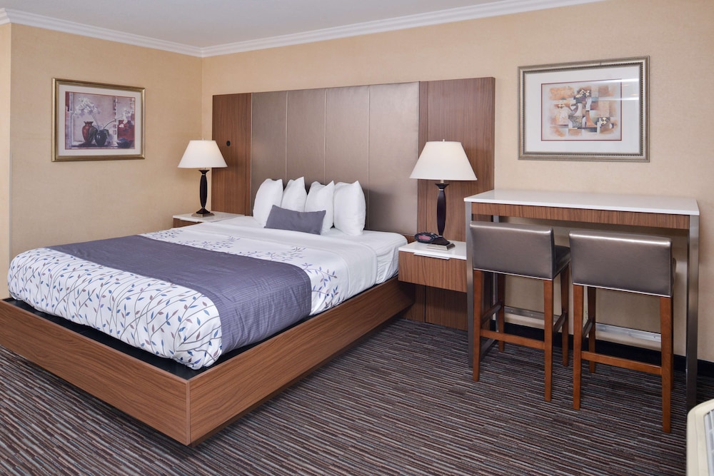 Best Western Airpark Hotel LAX Airport LA Stadium - photo 25