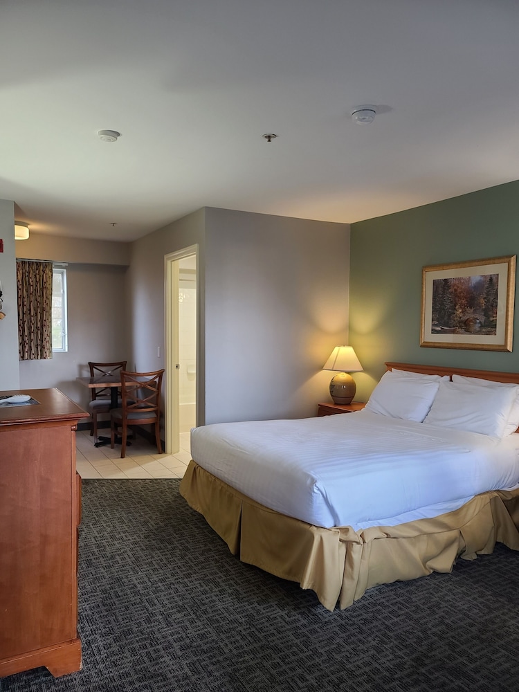 Tulip Inn - photo 9