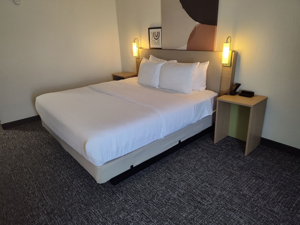 Spark by Hilton Stevensville - photo 10