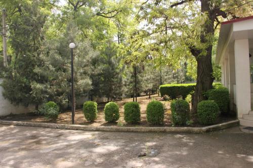 Premium Hotel - carbon neutral hotel in Izmayil