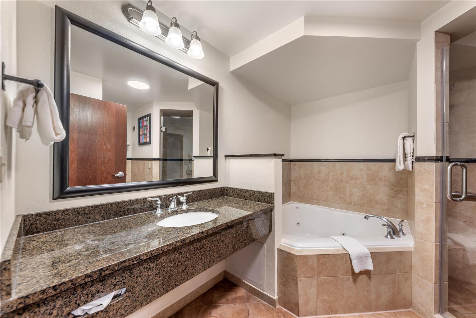 Drury Plaza Hotel San Antonio North Stone Oak - photo 17