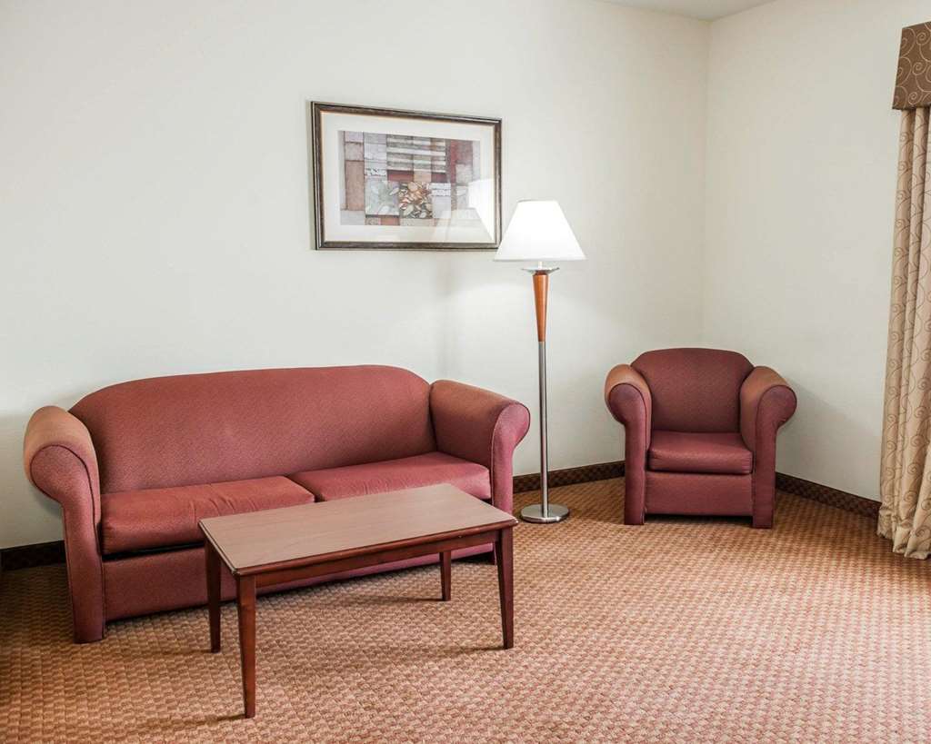 Comfort Suites near Indianapolis Airport - photo 21