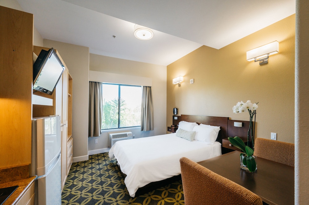 Studios Inn - photo 13