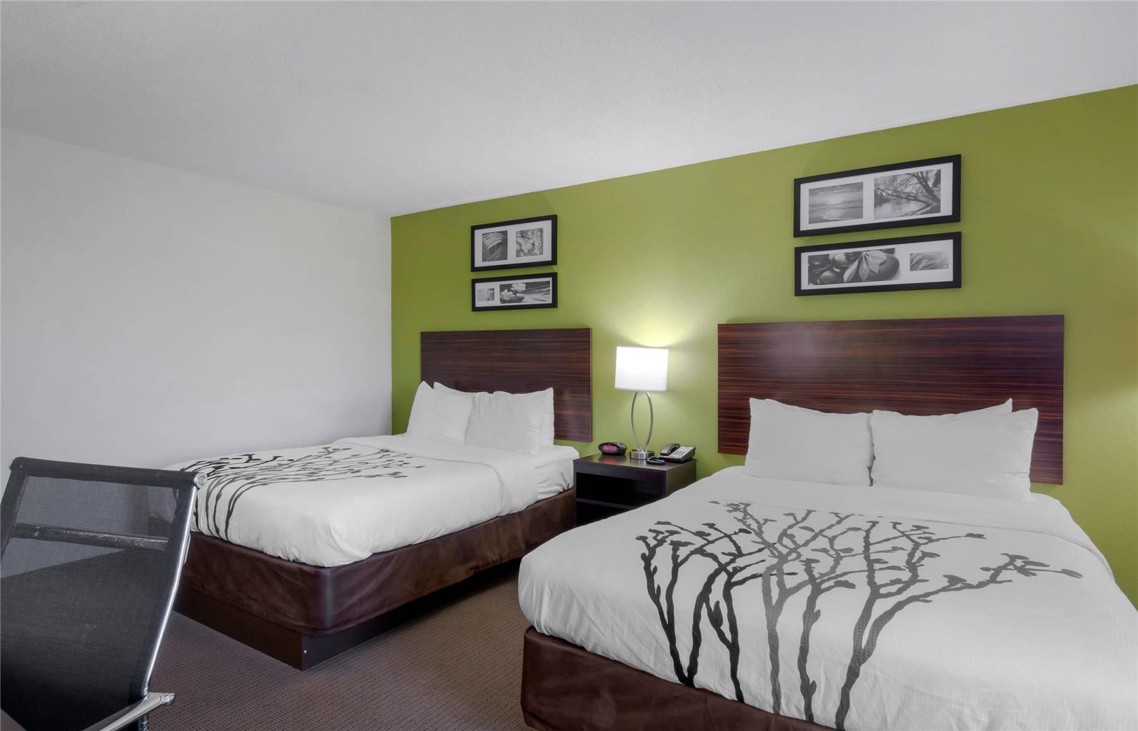 Sleep Inn & Suites Prince George near Fort Lee - photo 6
