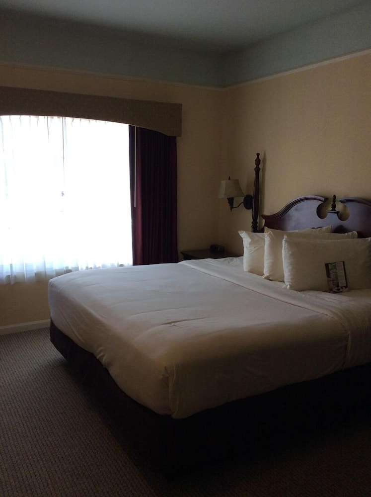 Senator Inn & Spa - photo 13