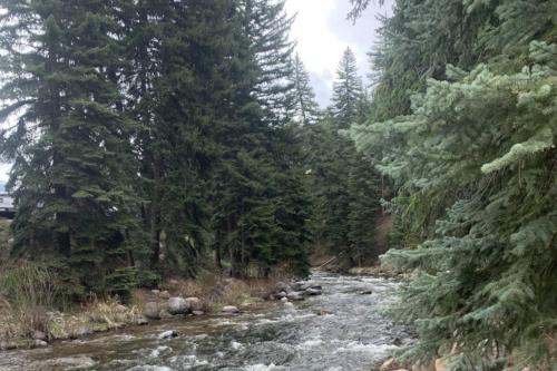 Bluegreen's StreamSide at Vail - photo 38