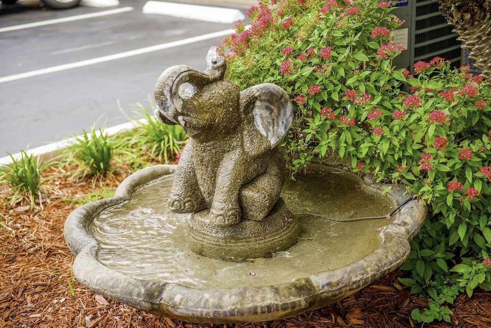 Hotel South Tampa & Suites - photo 40