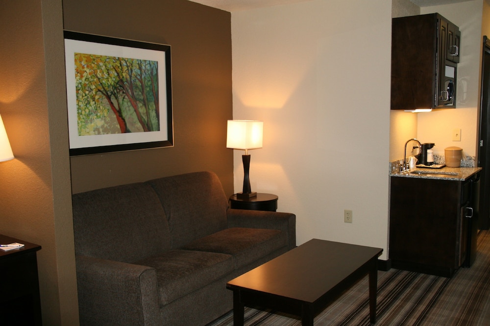 Holiday Inn Express & Suites Nevada by IHG - photo 10
