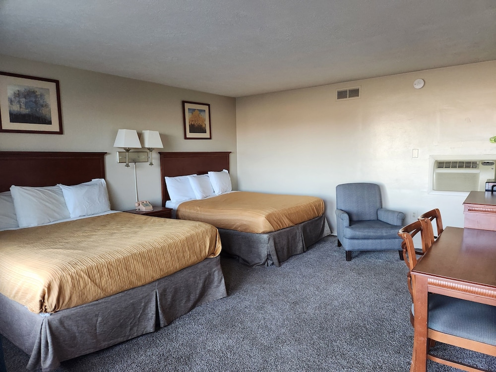Royal Motel - photo 31