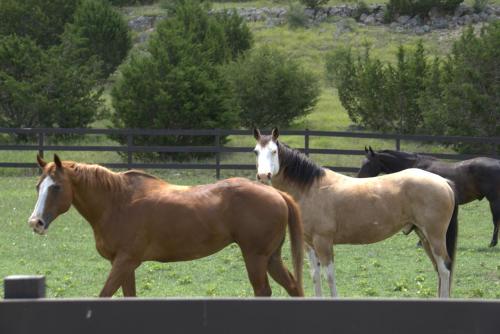 Josietta’s Hill Country Hideaway in Bandera, United States