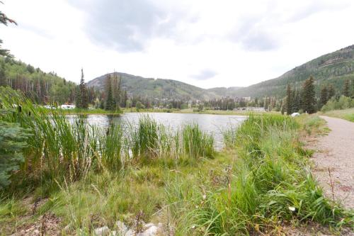 Twilight 48 Penstock Court - photo 36