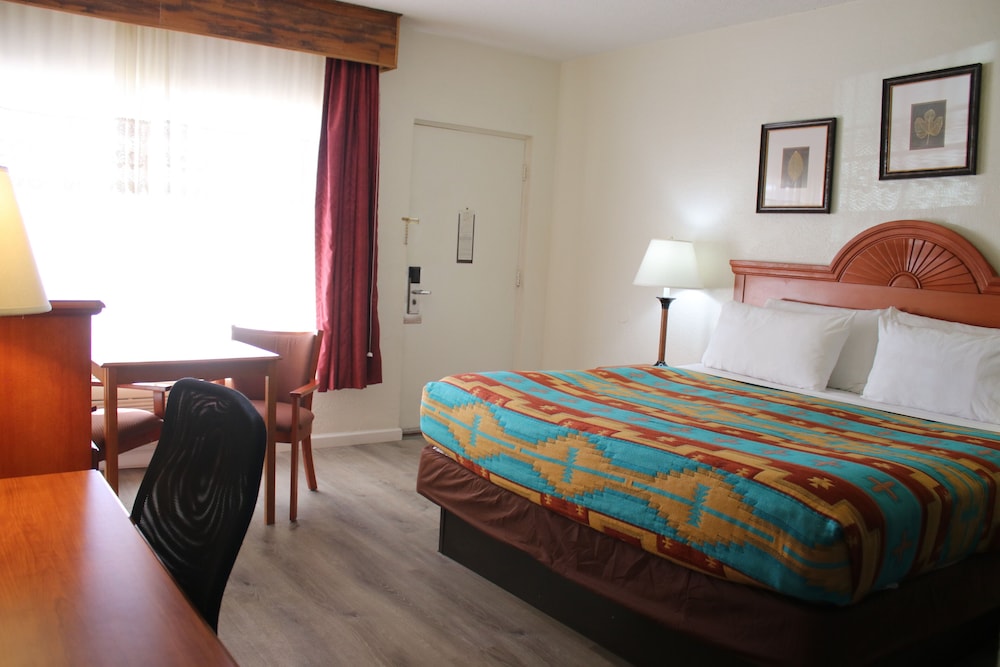 The Classic Desert Aire Hotel - photo 25