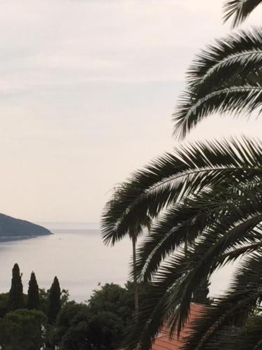 Apartman Zirojevic — 4-Star Luxury Hotel in Herceg-Novi, Montenegro