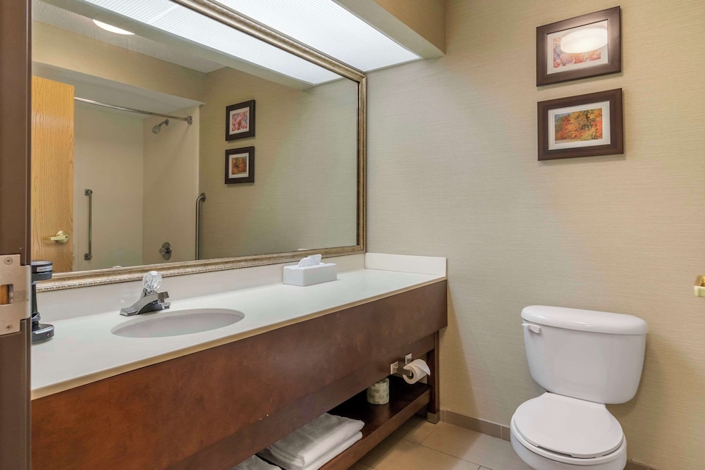 Comfort Inn Charlotte - photo 18