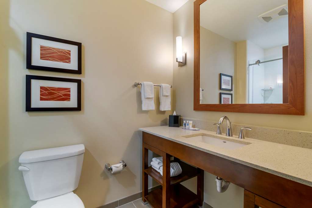 Comfort Inn & Suites Mandan Bismarck - photo 27