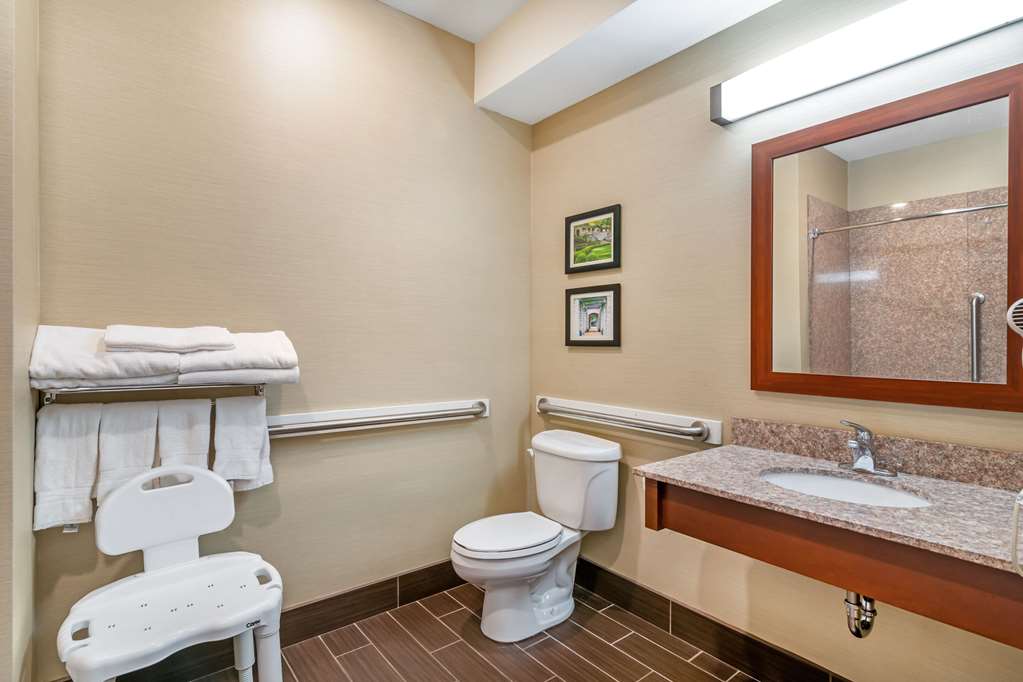 Comfort Suites Jefferson City - photo 8