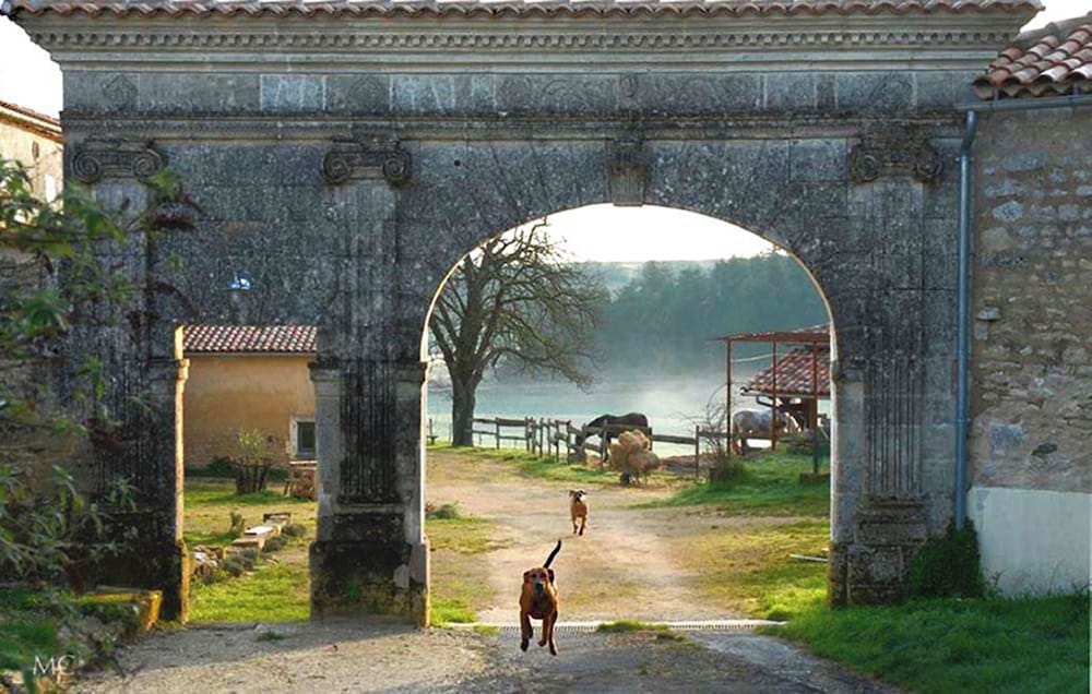 Ecurie Du Domaine De Chantemerle — Marsac En Livradois