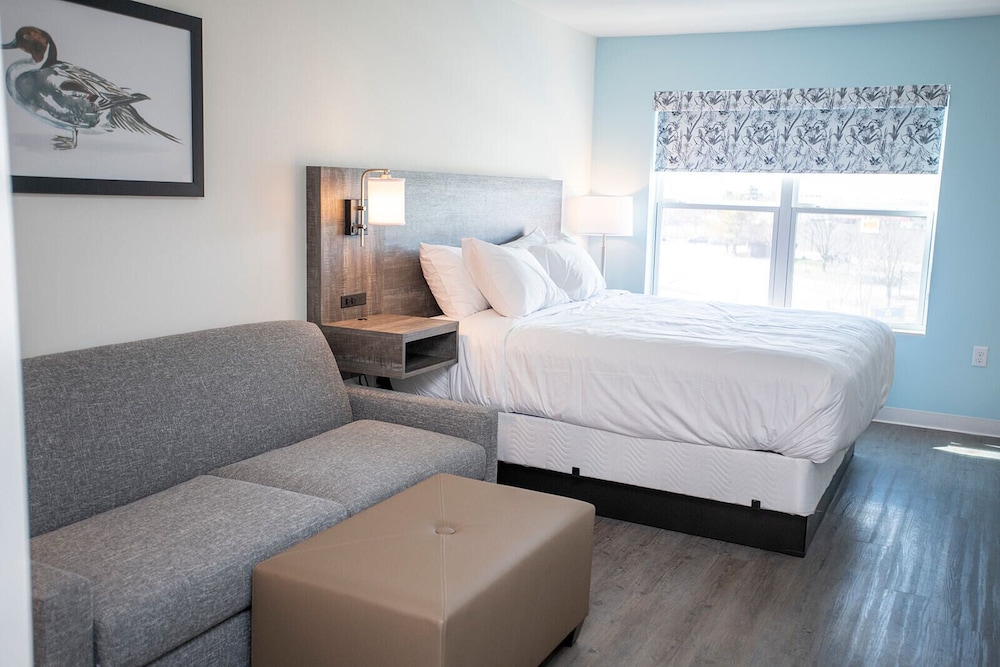 The Nest - photo 7