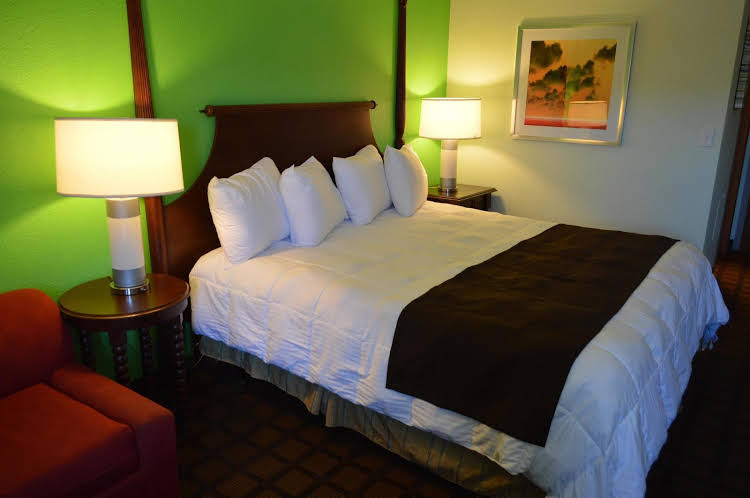 SureStay Hotel by Best Western New Buffalo - featured photo