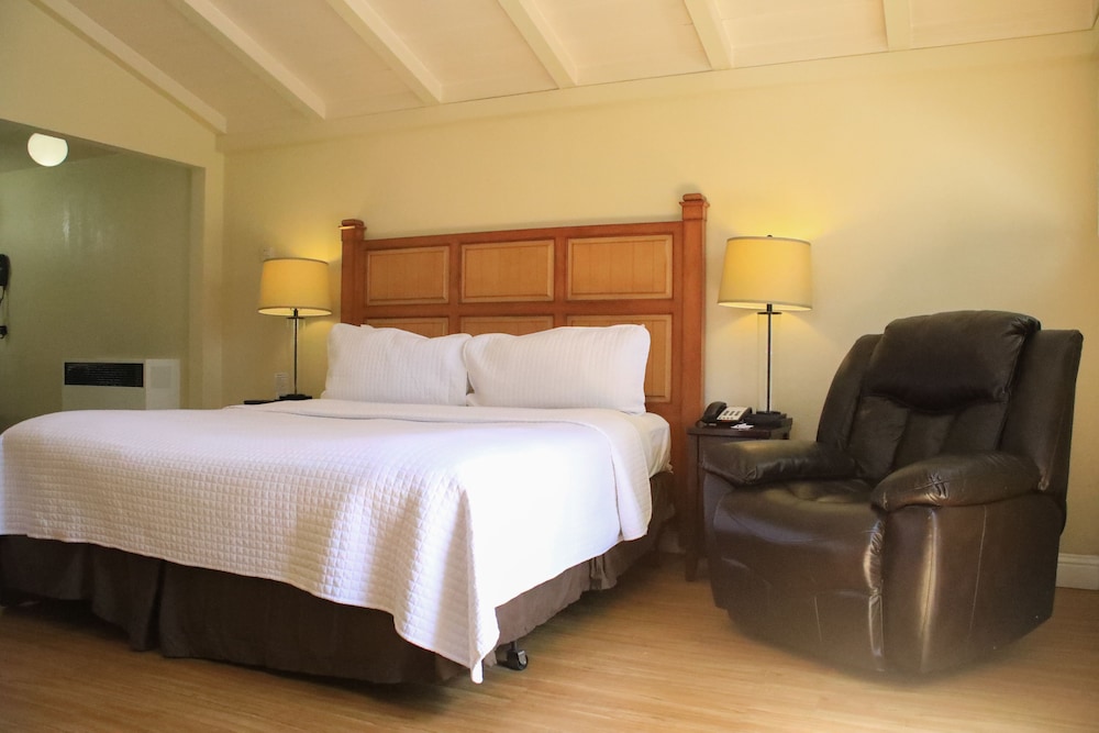 Carmel Resort Inn - photo 4
