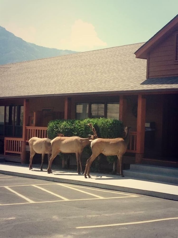 Yellowstone Village Inn and Suites - photo 20