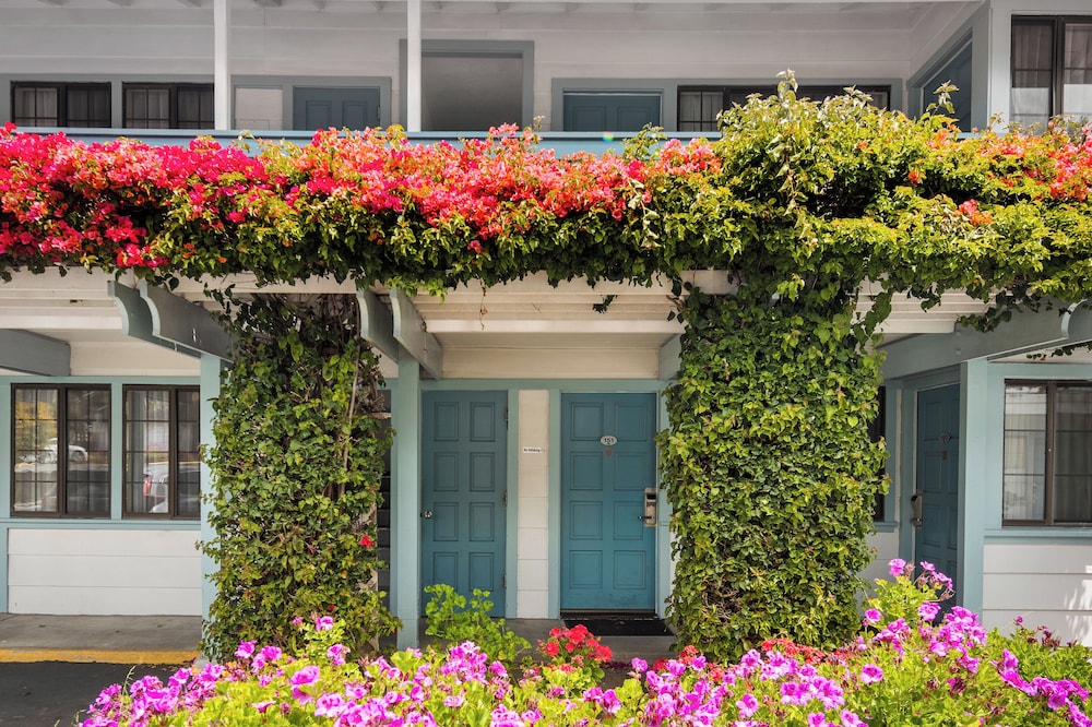 Arbor Inn Monterey - photo 41