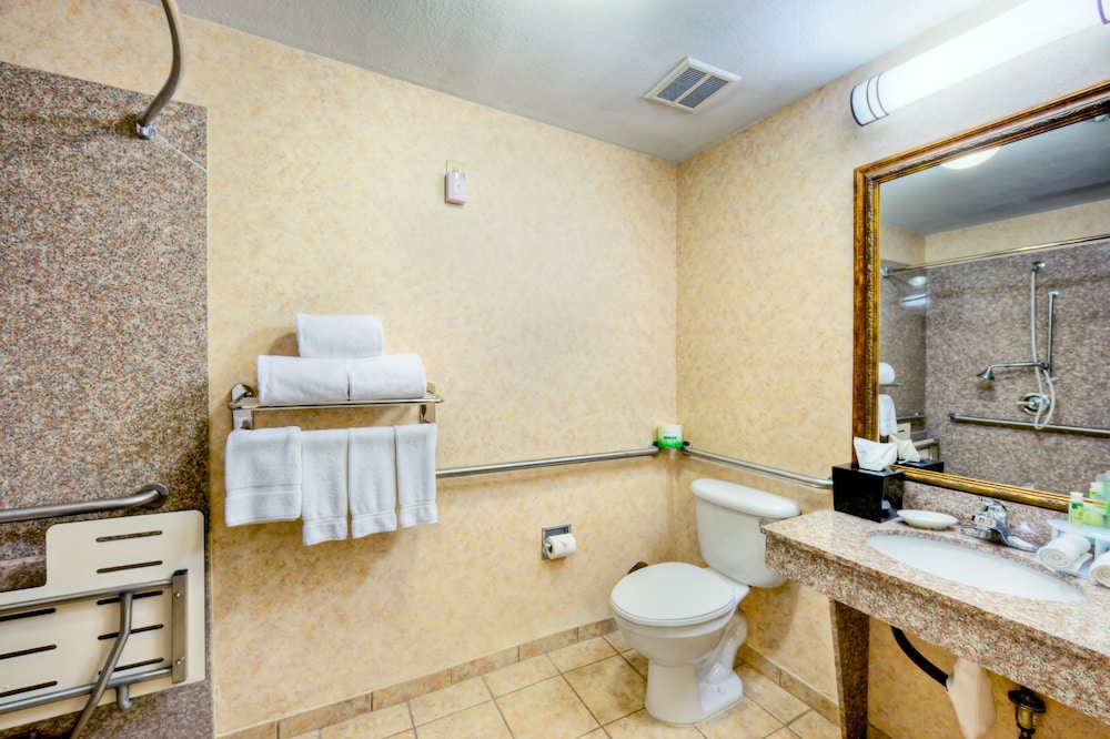 Holiday Inn Express & Suites Granbury by IHG - photo 10