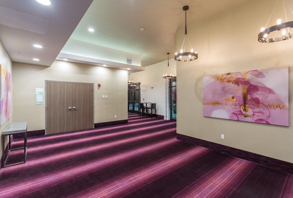 Holiday Inn San Marcos Convention CTR Area by IHG - photo 46