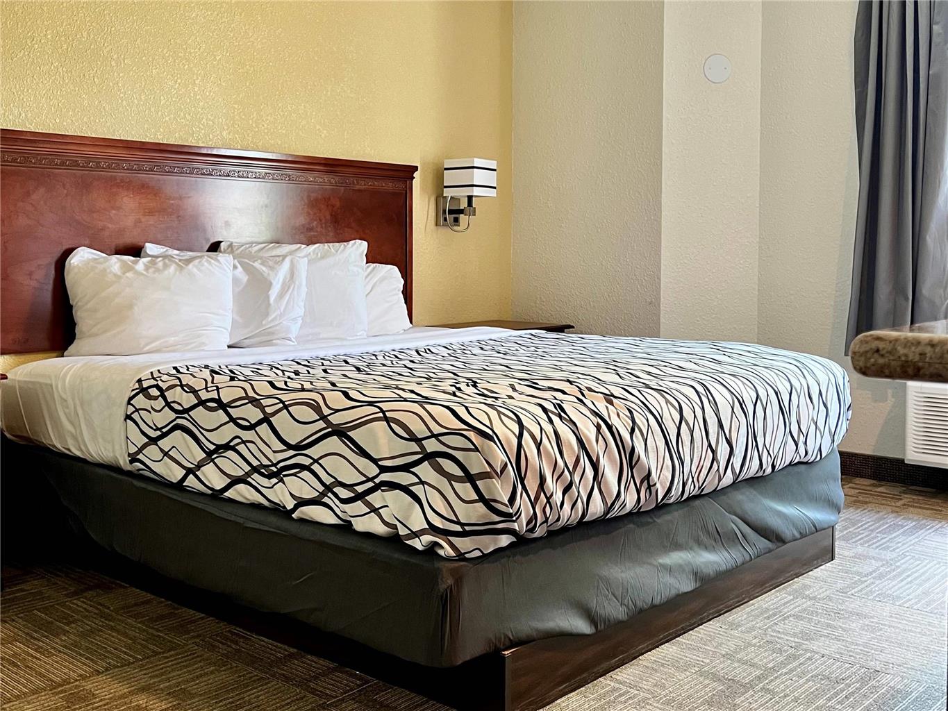 Rodeway Inn Boise Airport - photo 20