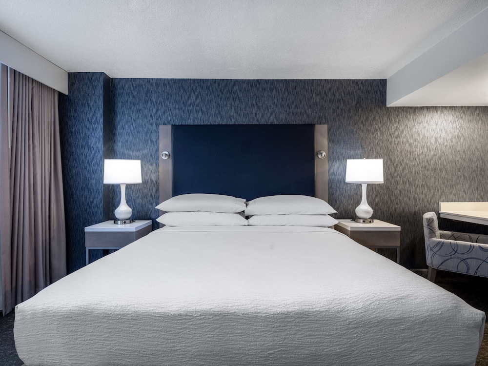 Embassy Suites by Hilton Baltimore Hunt Valley - photo 11