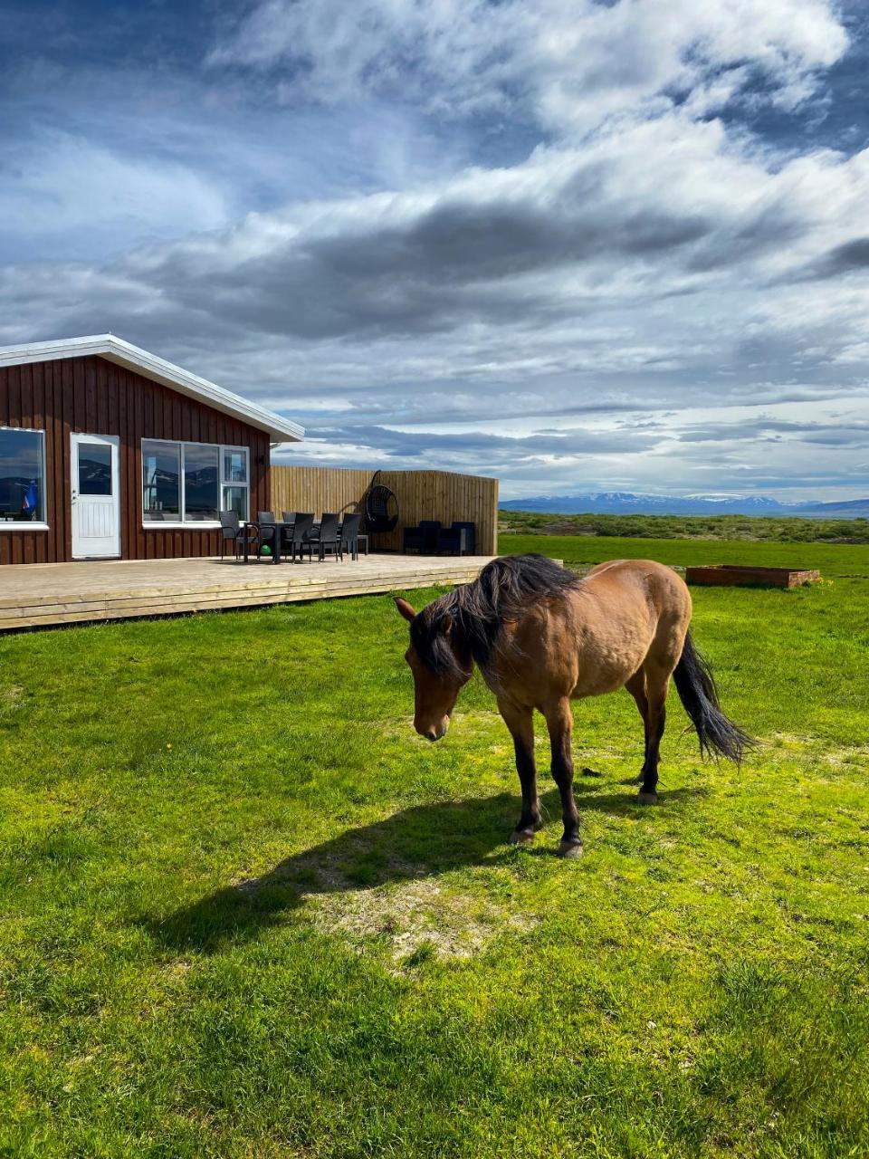 Beautiful house in the nature of West Iceland