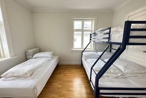 Beautiful 2 bedroom apartment downtown Reykjavik