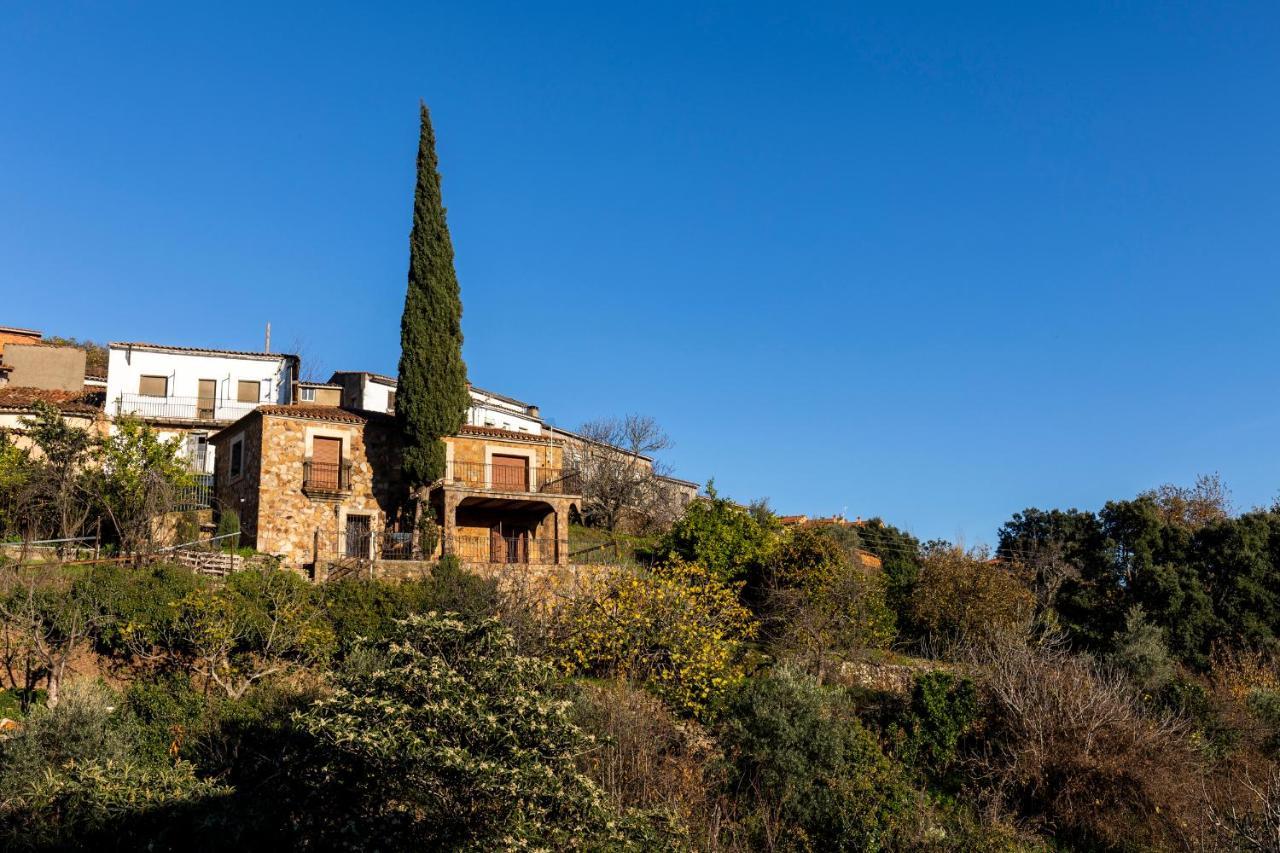 Casa Rural El Abeto — 4-Star Luxury Hotel in Torre De Don Miguel, Spain
