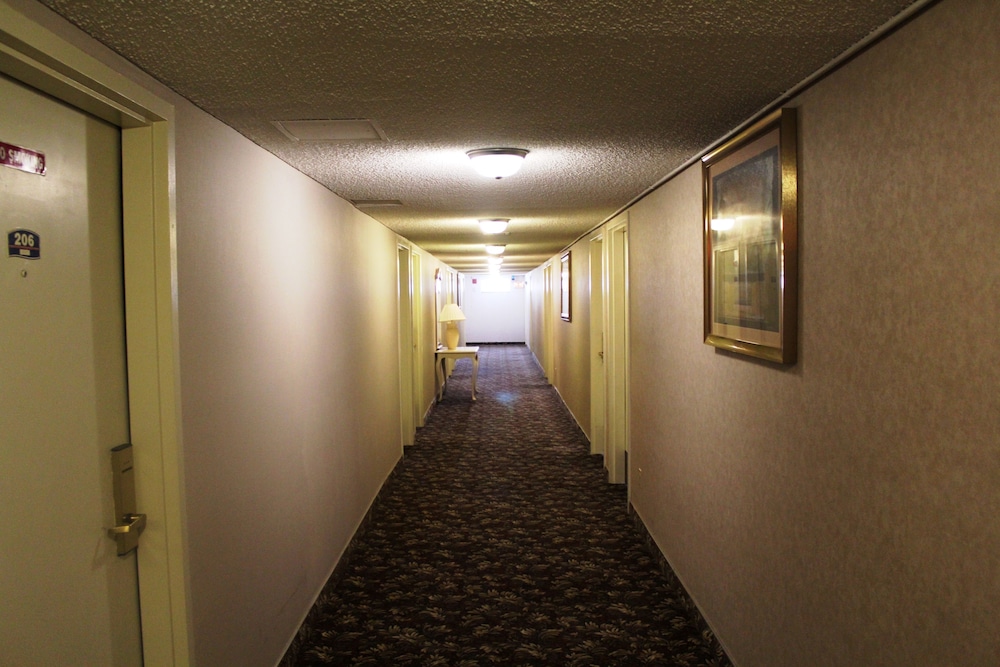 Shalimar Hotel of Las Vegas - photo 56