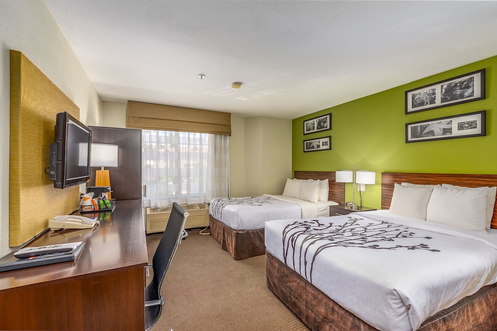 Garner Hotel Albuquerque Airport by IHG - photo 8