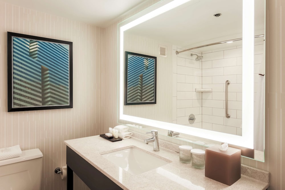 Embassy Suites by Hilton Dallas Love Field - photo 23