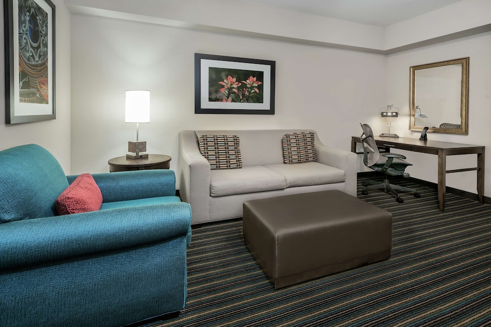 Hilton Garden Inn San Antonio At The Rim - photo 10