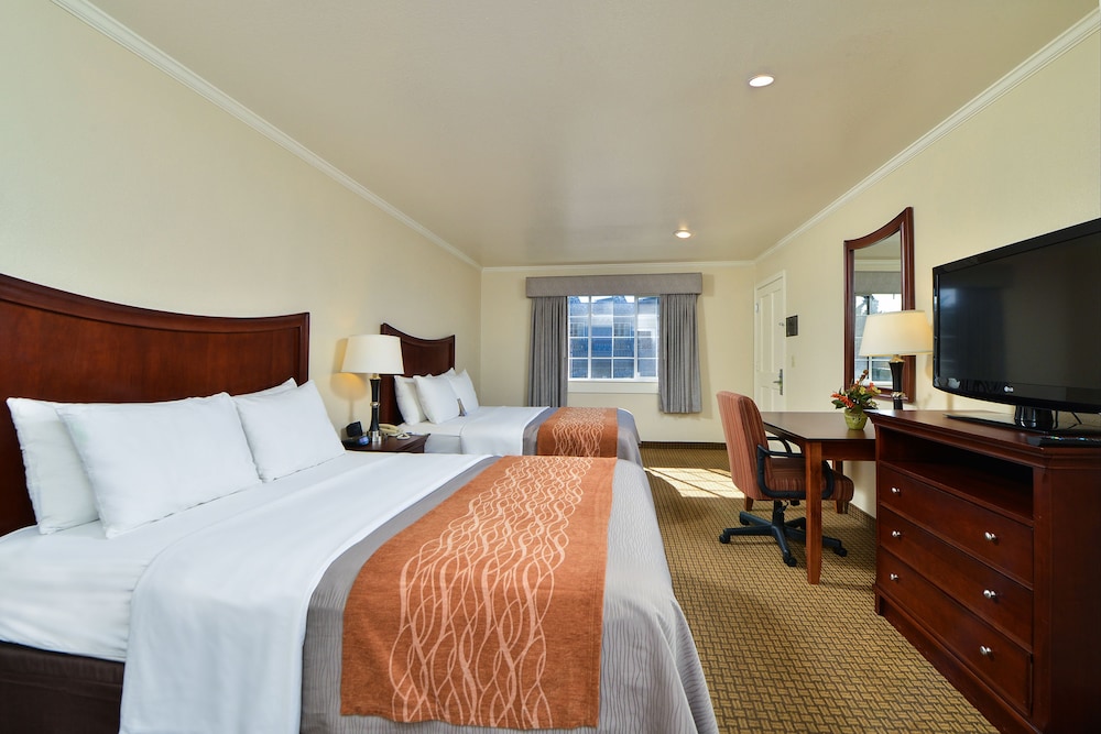 Blu Pacific Hotel - photo 14