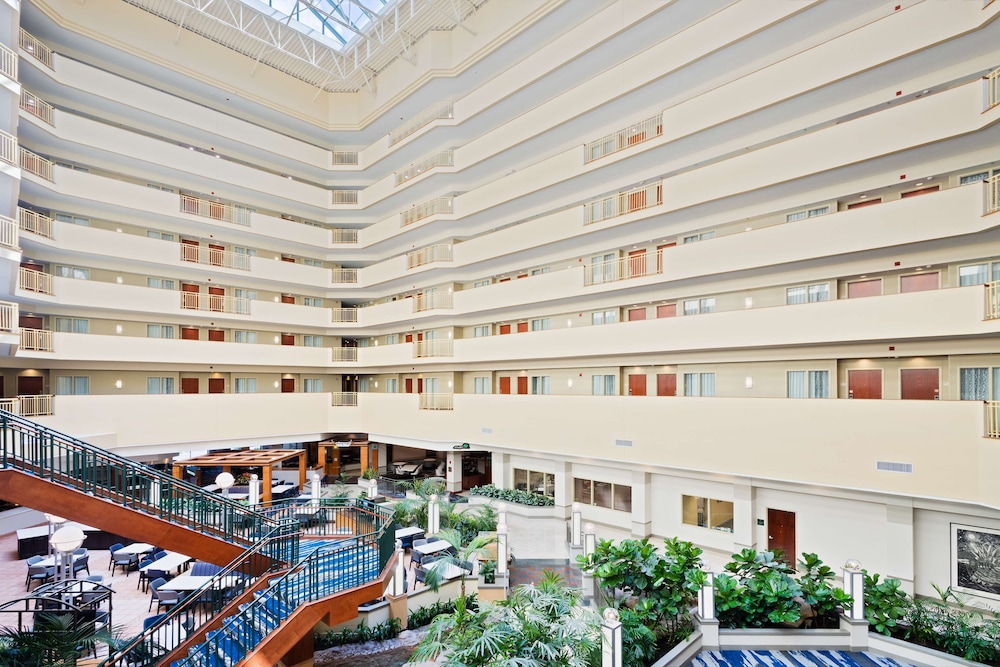 Embassy Suites by Hilton Tampa USF Near Busch Gardens - photo 31