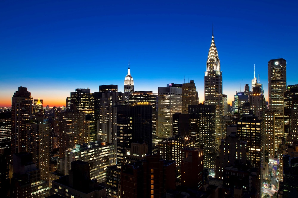 Millennium Hilton New York One UN Plaza - photo 105