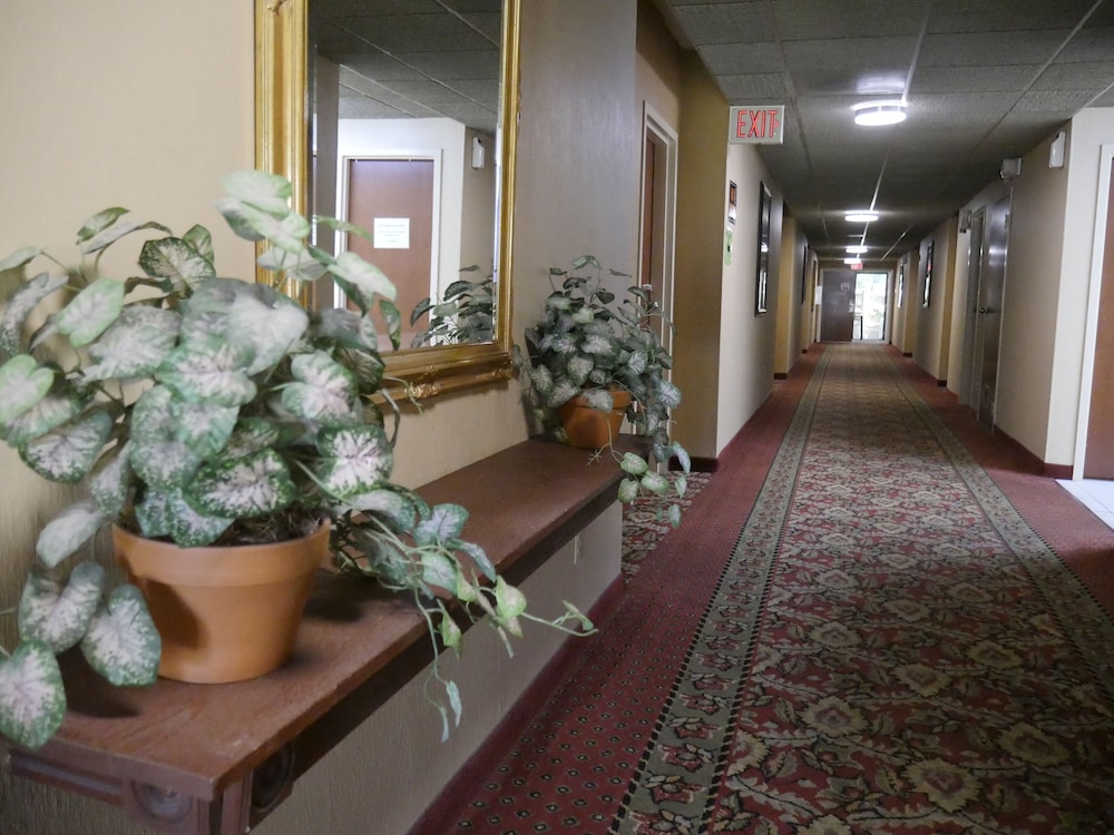 Sun Inn Motel - photo 18