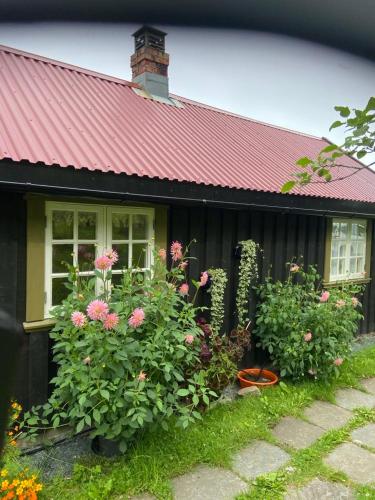 Lite hus i hagen — Malvik — photo 2