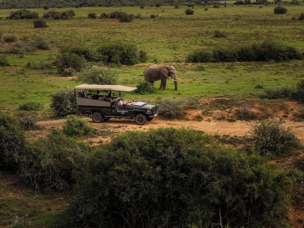 RiverBend Lodge — 5-Star Luxury Hotel in Port Elizabeth, South Africa