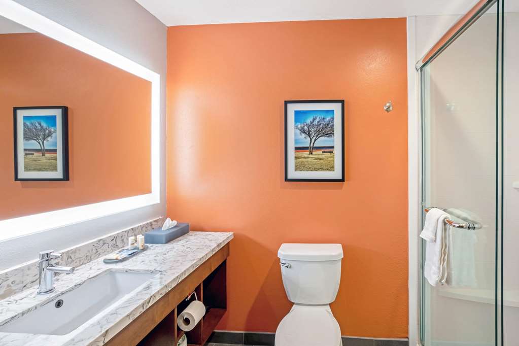 La Quinta Inn & Suites by Wyndham Waco Downtown Baylor - photo 21