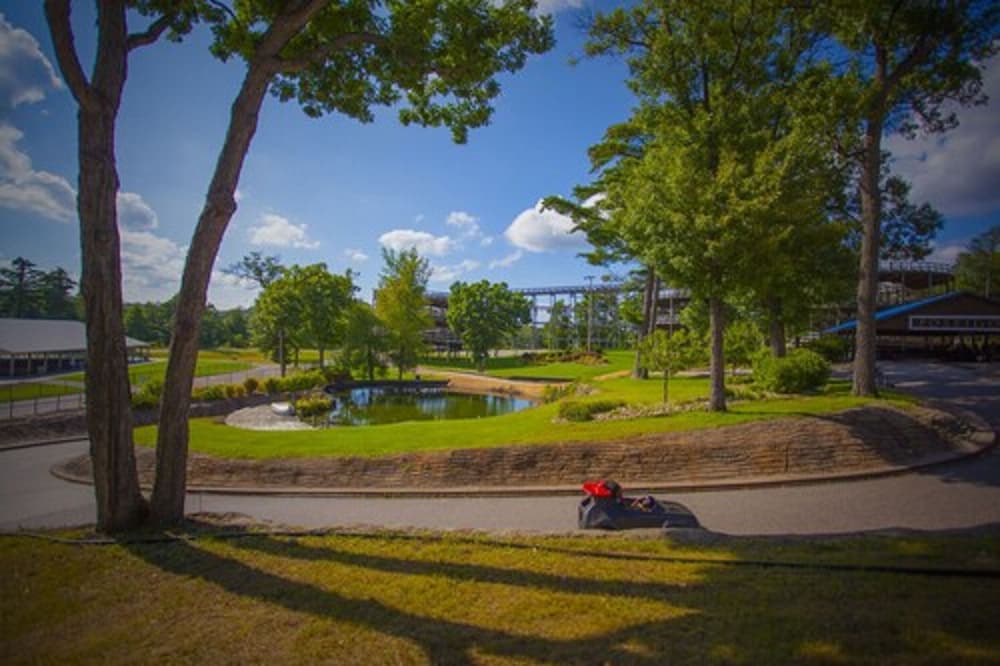 Mt. Olympus Water & Theme Park Resort - photo 160