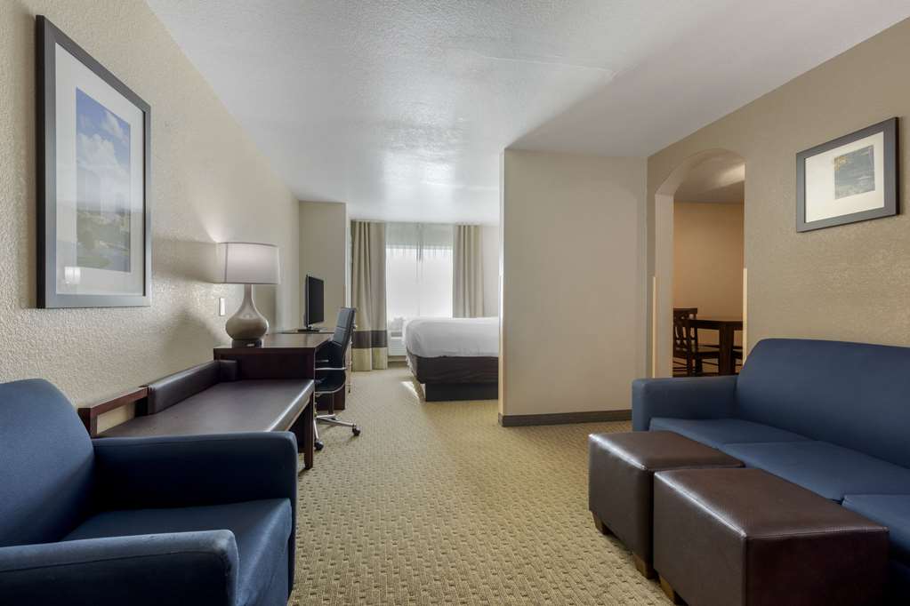 Comfort Suites Benbrook Fort Worth Southwest - photo 19