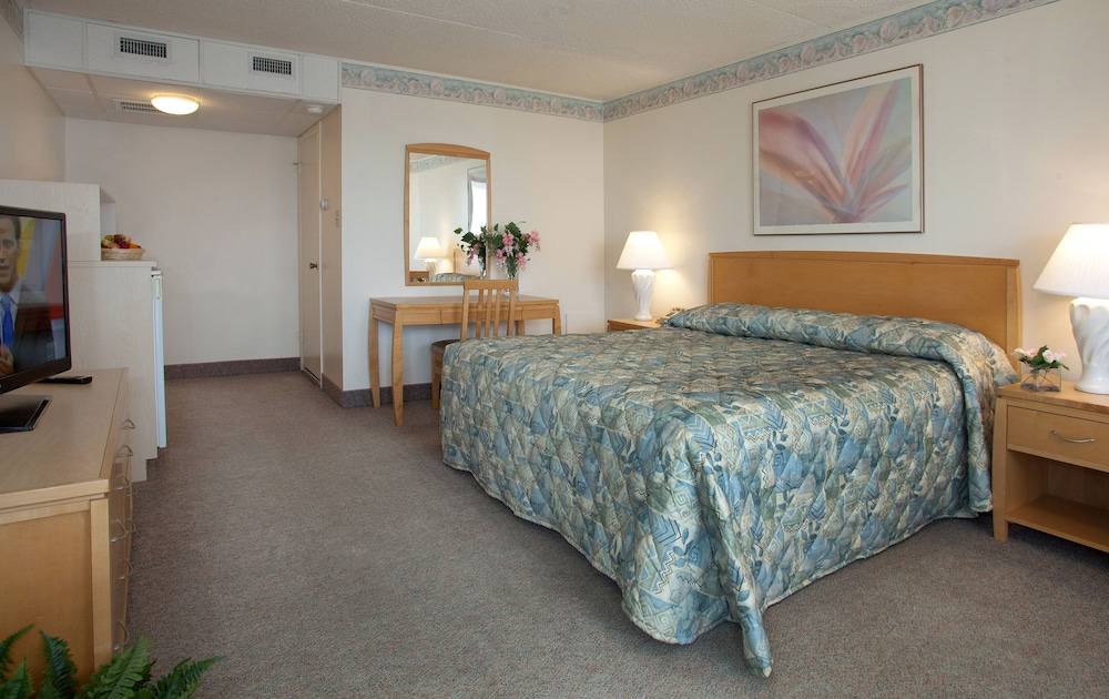 Lotus Inn - photo 8