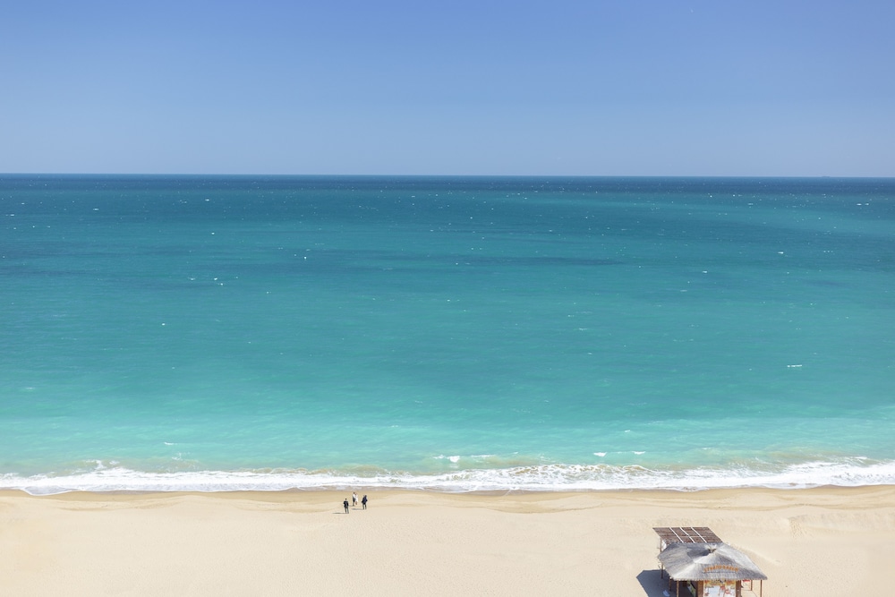 סיורים ופעילויות